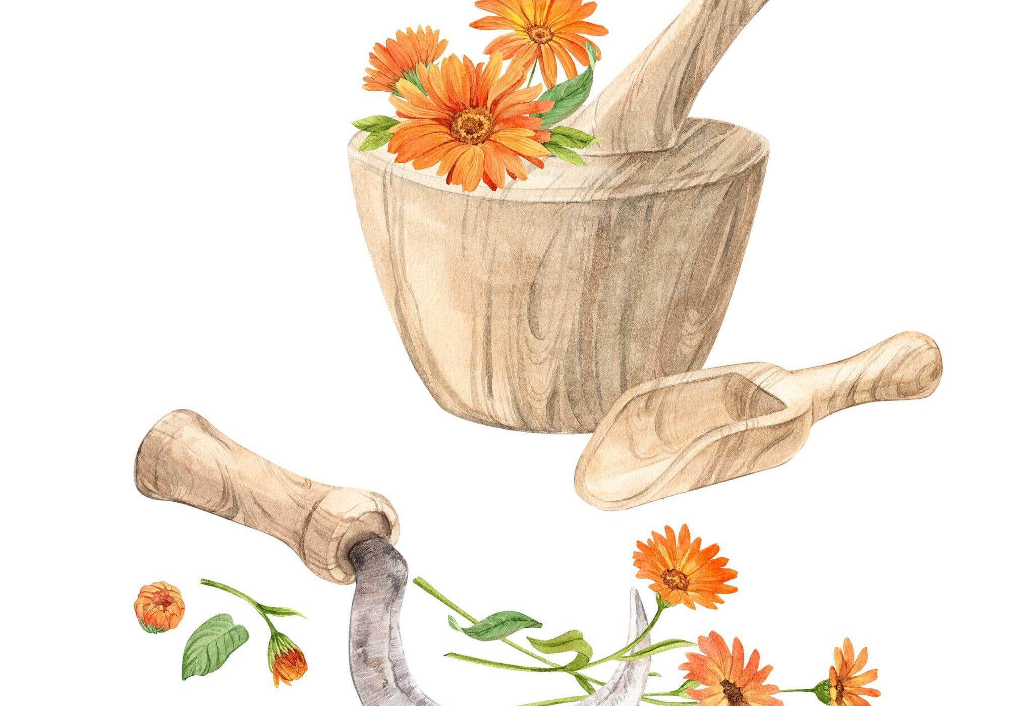 Mortar with herbs, watercolor style